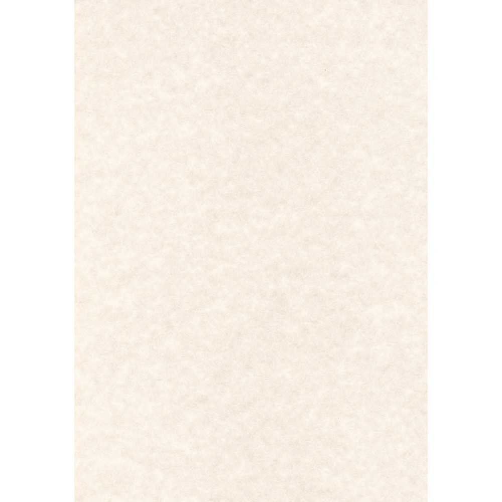 Papel Pergamino Color Gris A4 50H Apli PCL1678