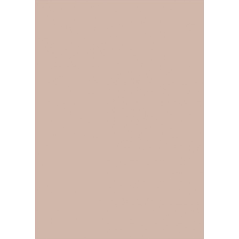25 Hojas Cartulina Color Rosa Salmón 50x65 cm  Apli 16505 Compraetiquetas