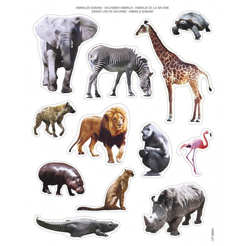 Apli 16621 Bolsa Gomets Fotográficos Animales de La Sabana 2H