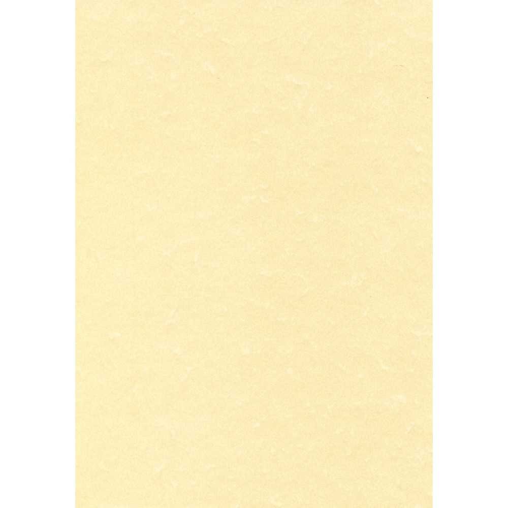 Papel Pergamino Color Champán A4 100H Apli PCL1601