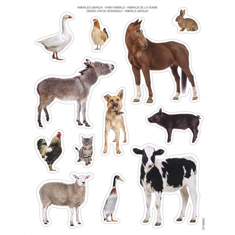 Apli 16620 Bolsa Gomets Fotográficos Animales de Granja 12H