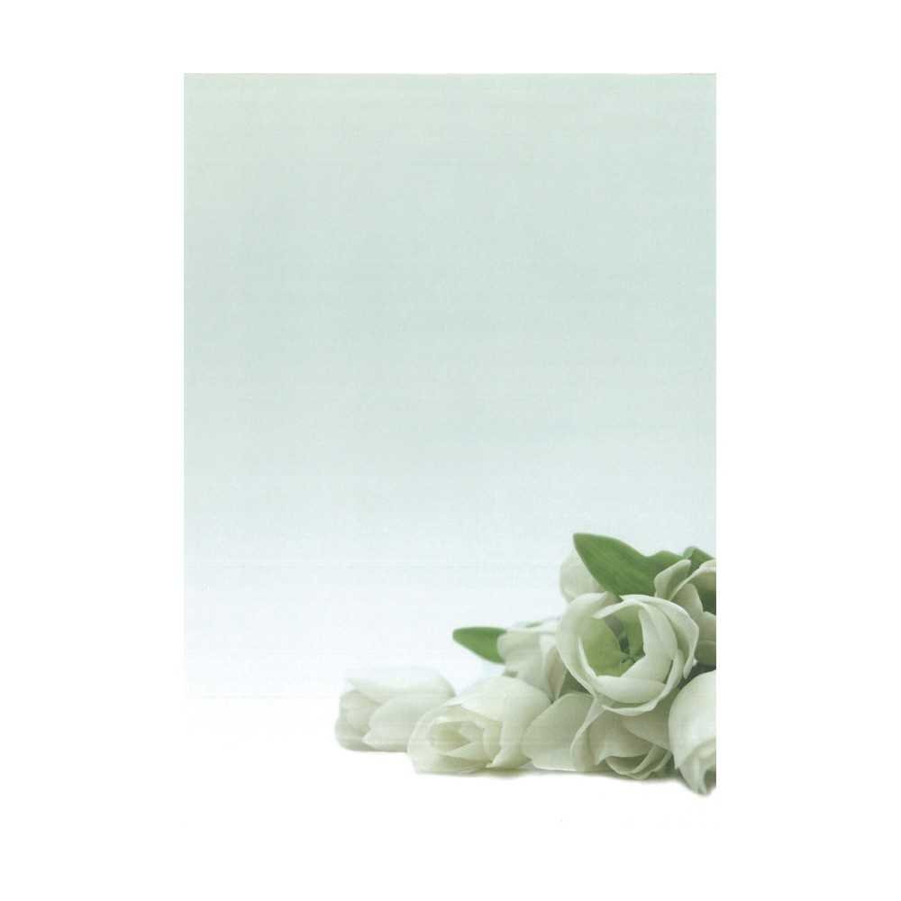Papel Temático Flor Blanca A4 20H Apli 12126